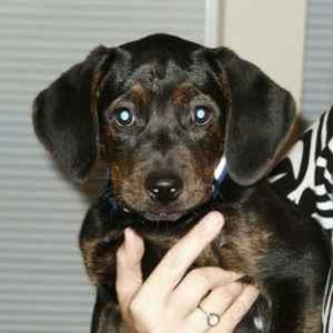 Meet your Posher, Linda